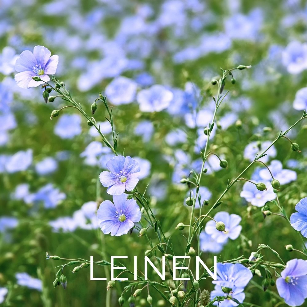 Leinen