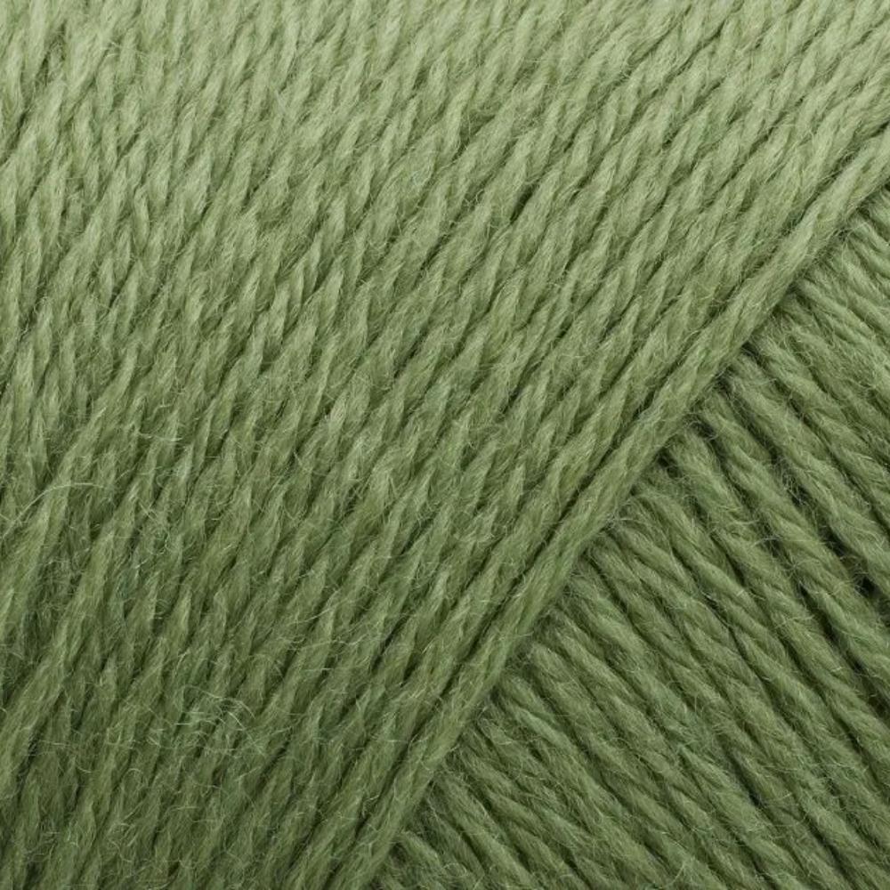 Knäuel Filcolana Arwetta Garn in Farbe Basswood Green 243