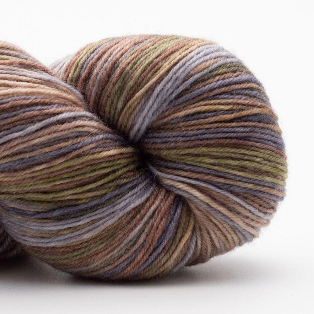Kremke Lazy Lion in Farbe Earth Wind No Fire 010 – robuste, weiche Sockenwolle mit 75 % Wolle und 25 % Nylon.